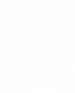 Havas Egypt