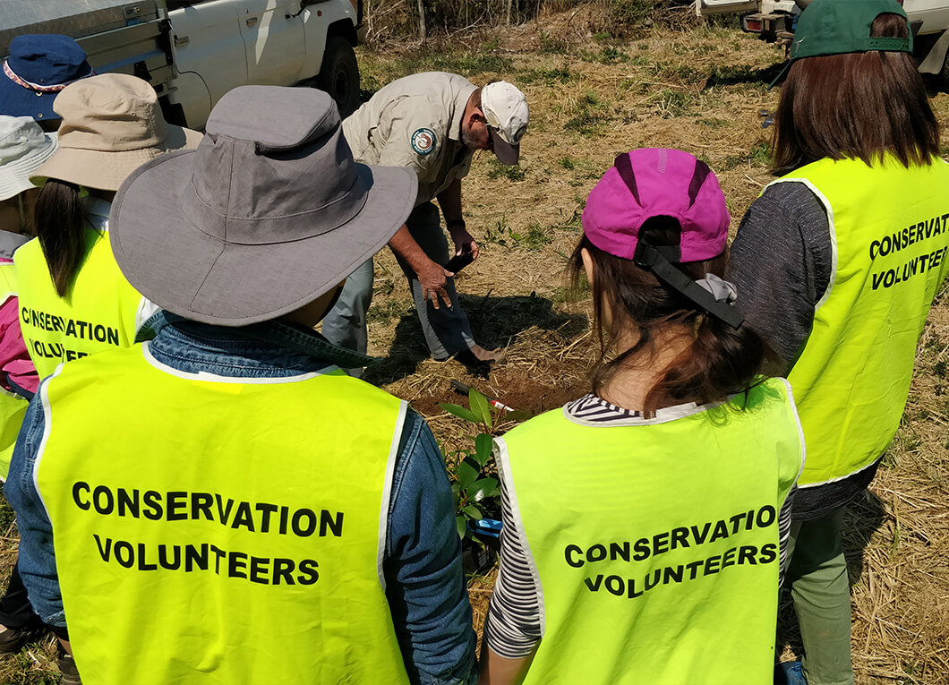 The NRMA Insurance & Conservation Volunteers Australia Partnership
